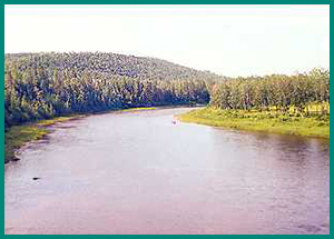 Allagash River Trip